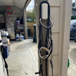 Double Bridle with Bits and Reins